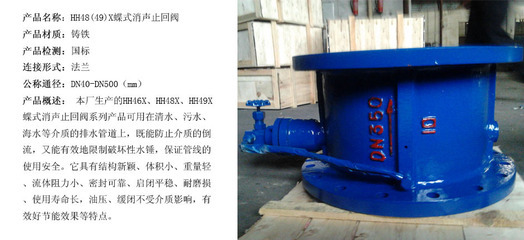 法兰连接的卓越选择 HH48/49X消声蝶式止回阀的品质与应用解析